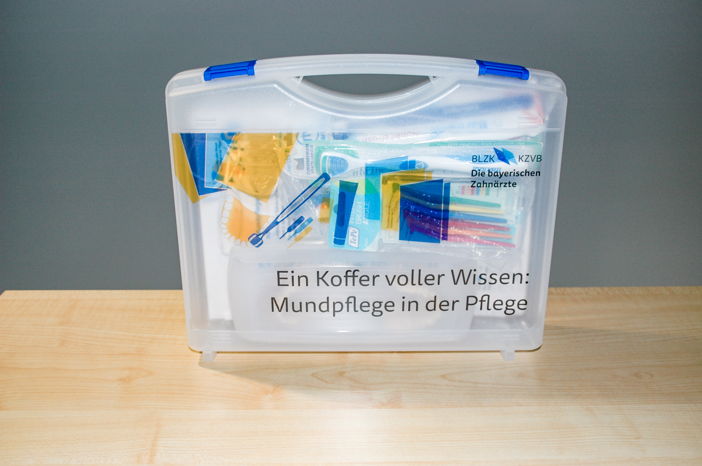 Ein Koffer voller Wissen: Mundpflege in der Pflege, Bild 2 Ein Koffer voller Wissen: Mundpflege in der Pflege, Bild 3